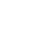 Local Trusted Icon